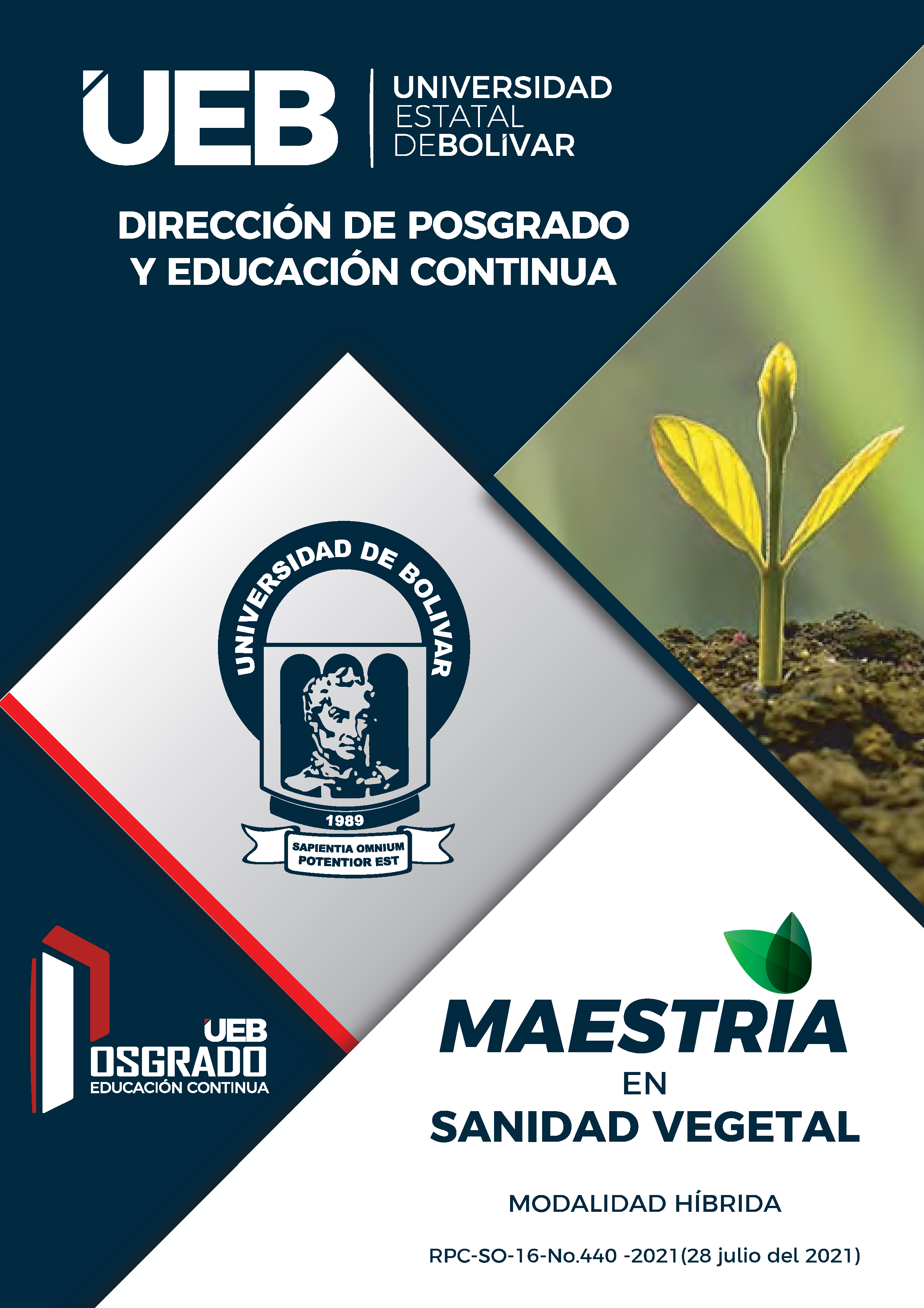 Descargar Brochure